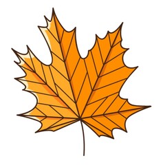 Yellow orange maple autumn leaf. Botanical, plant design element with outline. Autumn time. Doodle, hand-drawn. Flat design. Color vector illustration. Isolated on a white background.