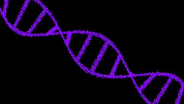 3D animation of DNA.