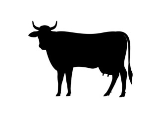 Dairy cattle or dairy cow icon, vector illustration