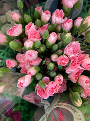Fresh Pink Carnations
