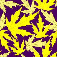 Fototapeta na wymiar Seamless aspen pattern. Yellow maple leaves on a purple background.