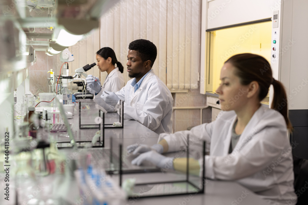 Sticker young intercultural scientists in whitecoats working in laboratory