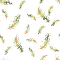 Seamless watercolor pattern branches of spruce. Background with forest moss. Moss, wild grass. Design for wrapping, packing, textile, fabric, scrapbooking, home decoration, invitation, cards
