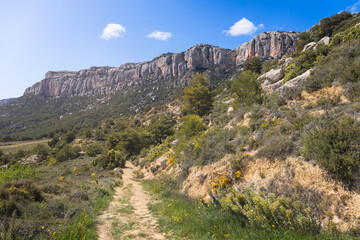 Trekking Path Leading to Montsant Natural Park, Priorat, Catalonia