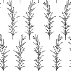 Seamless pattern. Vector illustration with rosemary branch.