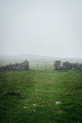 A gate and a stone wall in a misty meadow