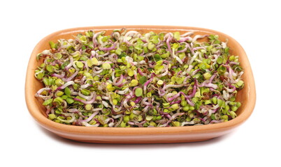 Germs radish in clay pot isolated on white background