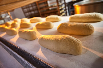 Raw dough bread on a oven-tray before baking in an oven at the manufacturing
