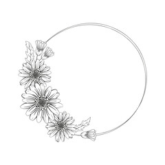 Daisy flower wreath,  isolated line art illustration