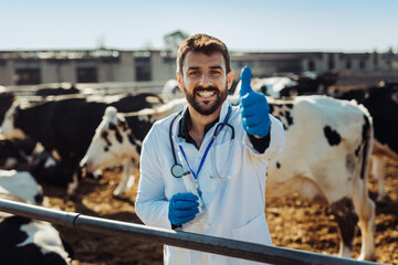 Satisfied veterinarian working at the farm.