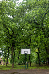 Basketball Court. Basketball hoop near the tree. Empty street basketball court. 