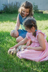 Naklejka na ściany i meble two little girls playing with a dog in the garden