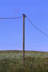 lines on the road