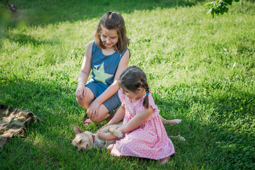 Naklejka na ściany i meble children playing in the garden with a dog