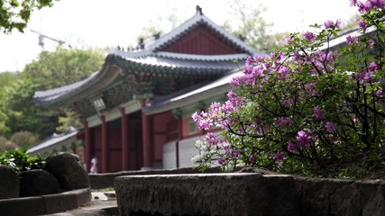 Fototapeta na wymiar 경희궁 - 조선시대 궁궐