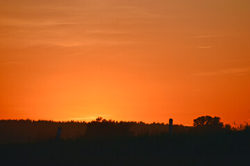 Rural field on the background of the setting sun