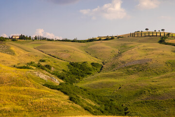 Obraz premium Beautiful idyllic summer landscape of Toscana, Italy with many mediterranean plants and field grasses. Sunny evening or morning in Italy. Vacation, recreation mood. Agricultural fields of Tuscany 