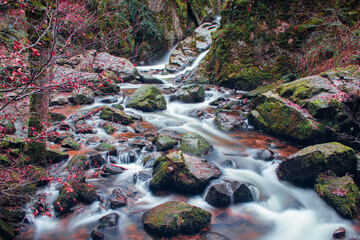 Les Vosges-cascade