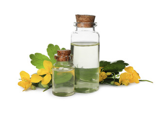 Bottles of essential oil and celandine on white background