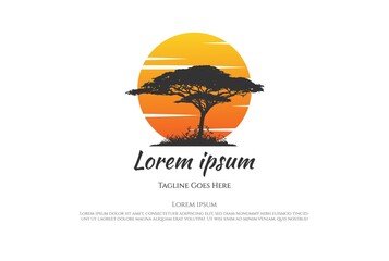 Sunset Sunrise African Acacia Tree Forest Logo Design Vector - obrazy, fototapety, plakaty