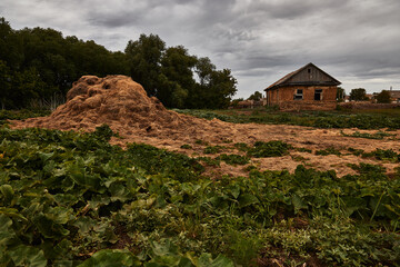 abandoned village. texture, texture, nature