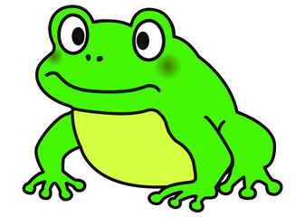 カエル