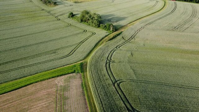 Luftaufnahme mit Drohne, Weizenfelder, Agrarlandschaft