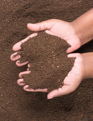 woman holding solarized fertile brown soil to control pests and bugs before planting crops, ...