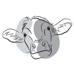 Vector cow face. Line art. Hand drawn.