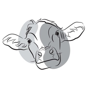 recommend clip art: Vector cow face. Line art. Hand drawn.