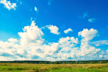 Obraz premium beautiful landscape