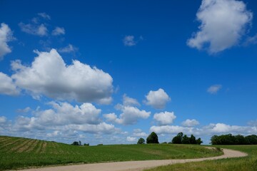 Beautiful rural landscape - winding dirt road among green fields and blue sky with clouds