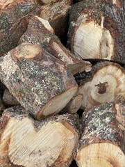 pile of firewood