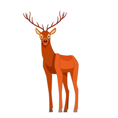 Forest graceful deer with antlers in standing pose. Wildlife of forest mammals concept. Cartoon vector Illustration flat style isolated white background