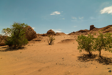 harman canyon tsav national park in mongolia, dinosaur cemetery