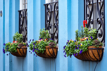Fototapeta premium Historic blue house on rainbow row in Charleston, South Carolina