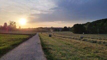 Beautiful summer sunset at Ramsbach valley with the city of Stuttgart-Degerloch, Germany in the background. A field path is leading along the meadows.