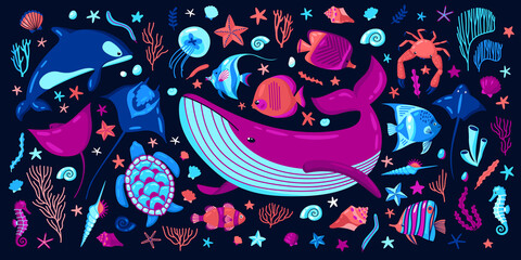 Ocean Illustration
