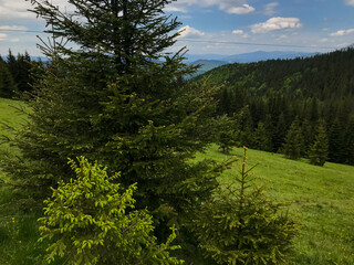 Fototapeta na wymiar Picturesque landscape view at Ukranian Carpathians