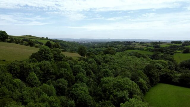 Drone flight up over the devon countryside of rolling hills and oak trees