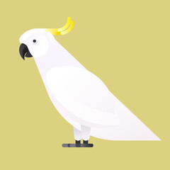 The Sulphur-crested cockatoo isolated on green background. Vector illustration of tropical birds