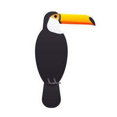 Naklejka premium The toucan bird isolated on white background. Vector illustration of rainforest animals