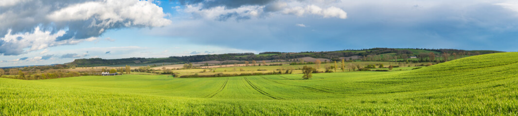 Fototapeta na wymiar Green field panorama in spring season. Landscape of England 