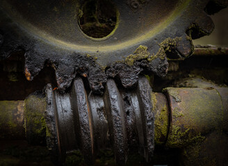 Pinion gear of the vintage mechanism
