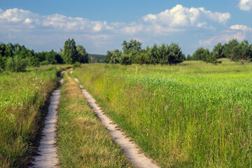 Fototapeta na wymiar Country road in a meadow with trees in the distance. Summer landscape. Selective focus.