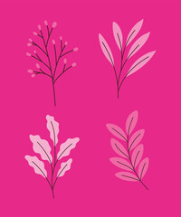 four pink plants