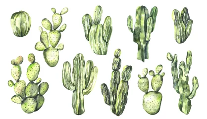 Raamstickers Cactus Aquarel boho cactussen collectie. Handgeschilderde aquarel cactussen geïsoleerd op een witte achtergrond. Floral illustratie voor ontwerp, print, huwelijksuitnodiging of achtergrond. Illustratie van hoge kwaliteit