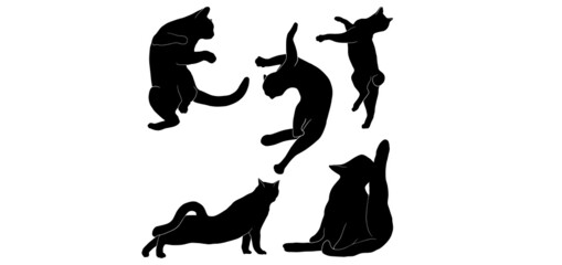 Hand drawn vector cats illustrations on transparent background