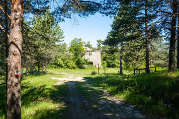 Ruins in the wood. Podere Montebello, Modigliana, Forlì, Emilia Romagna, Italy, Europe.