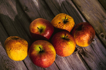 Apples lit from the sun decoratively lying on a wooden underground.